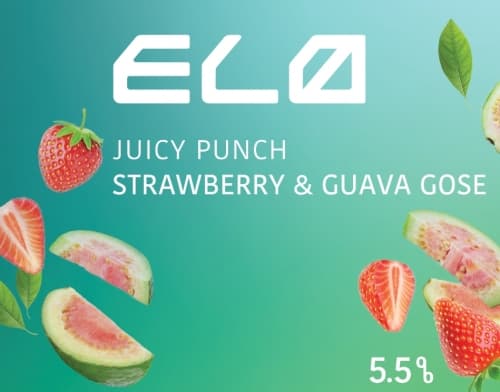 Juicy Punch - Strawberry & Guava Gose