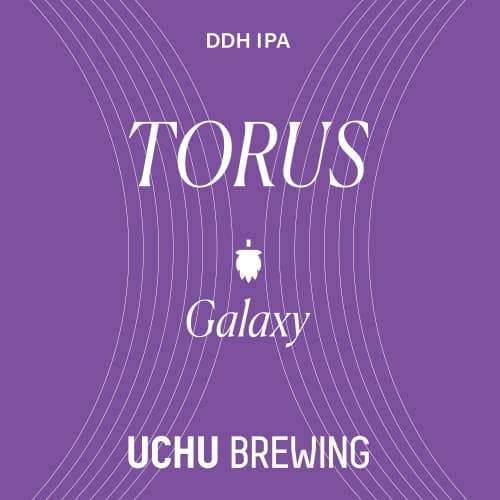 TORUS Galaxy