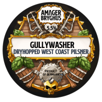 Gullywasher