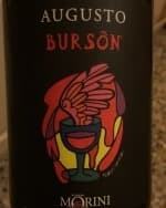 Augusto Bursôn