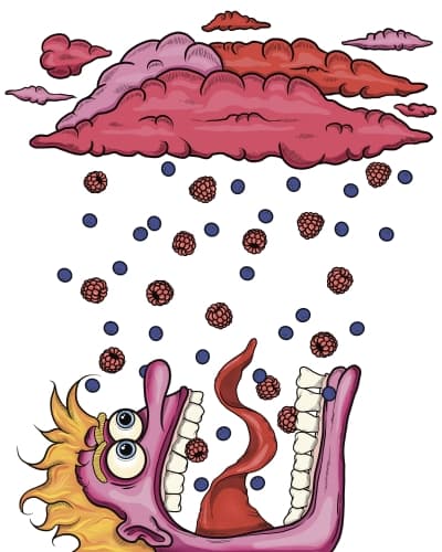WILD BERRY SHOWER