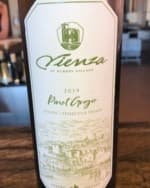 Vienza Pinot Grigio