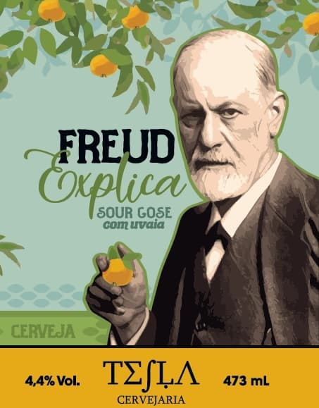 FREUD EXPLICA