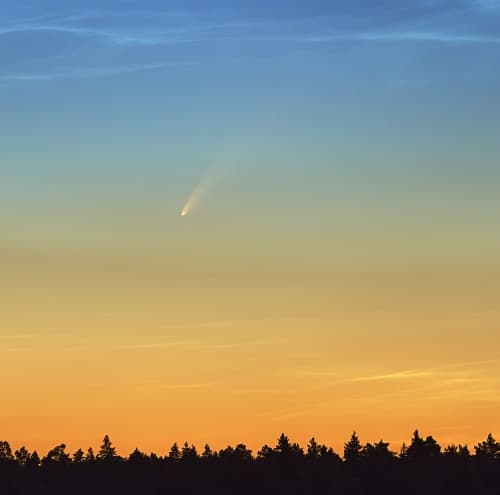 Neowise