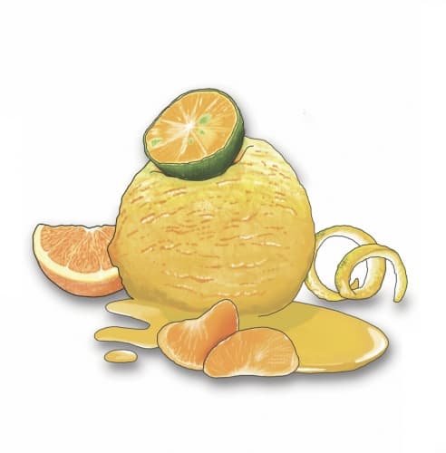 Citrus Crush