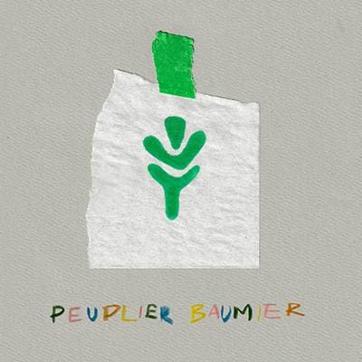 Peuplier Baumier