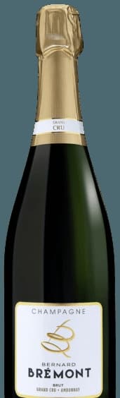 Brut Champagne Grand Cru 'Ambonnay'