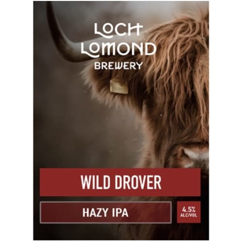 Wild Drover