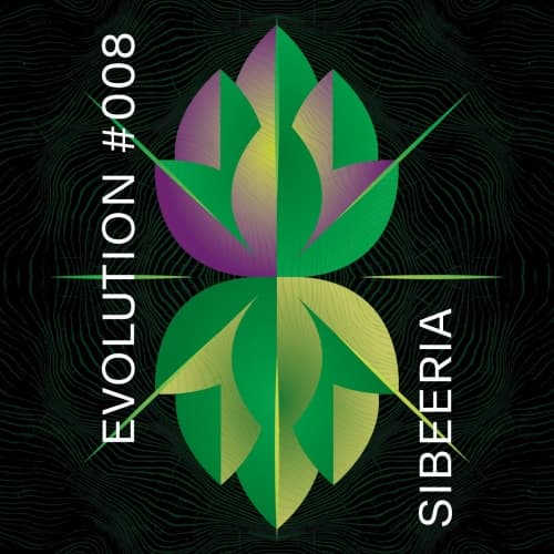 Evolution #008 (NŠH 11/18)