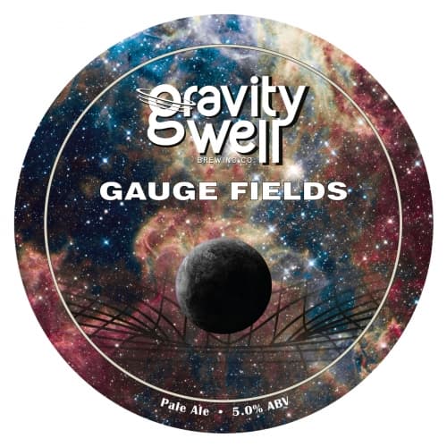 Gauge Fields