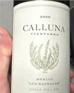 Merlot (Aux Raynauds)