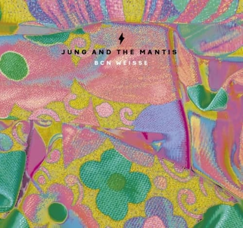 JUNG AND THE MANTIS