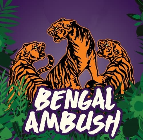 Bengal Ambush
