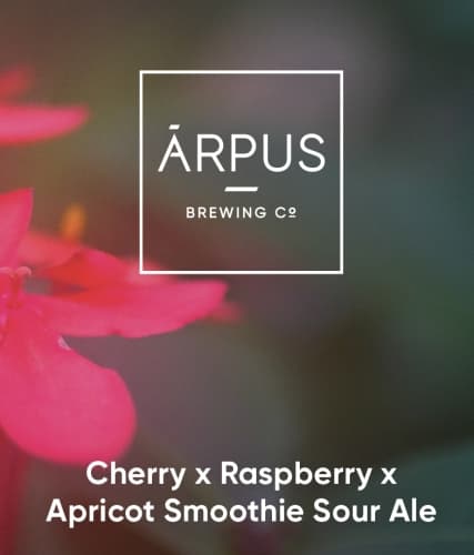 Cherry x Raspberry x Apricot Smoothie Sour Ale