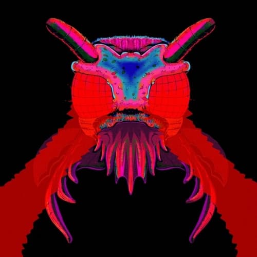 Red Power | The Beetle (Red Velvet Coconut Cake)
