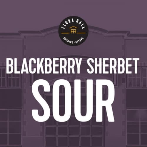 Blackberry Sherbet Sour
