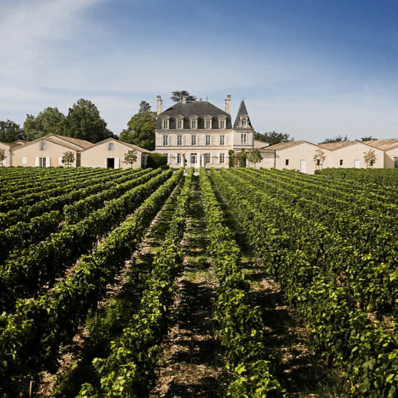 Château Grand-Puy Ducasse