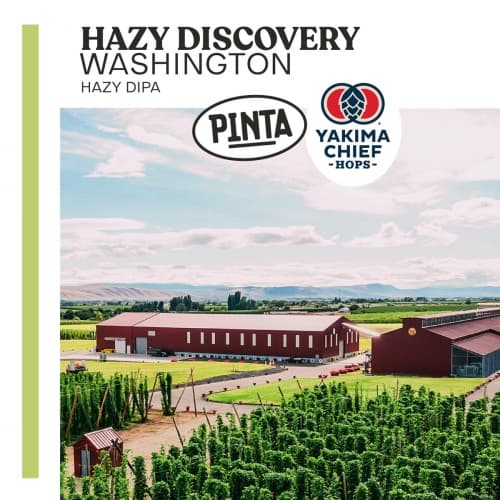 Hazy Discovery Washington