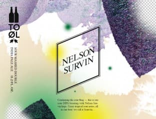 Nelson Survin