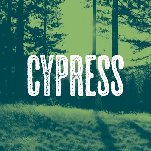 Cypress