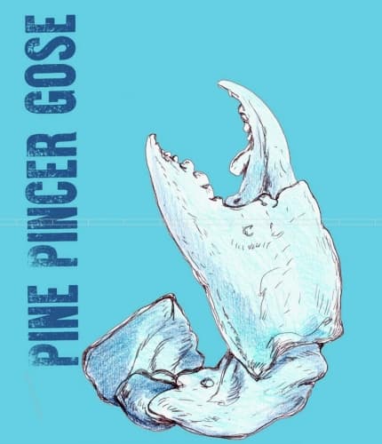 Pine Pincer Gose