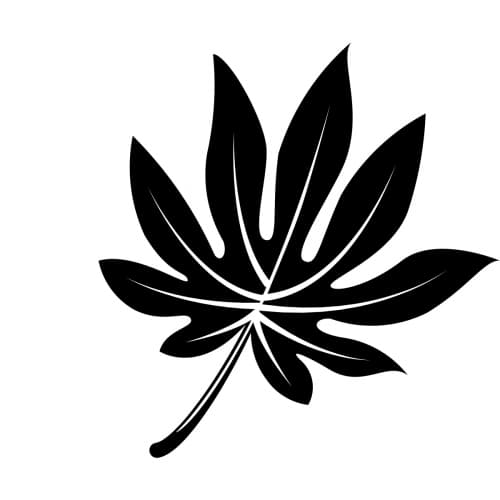 Tropical Treat: Lulo