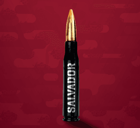 Bullet Framboesa