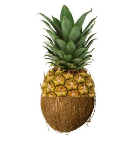 Hawaiian Tropic