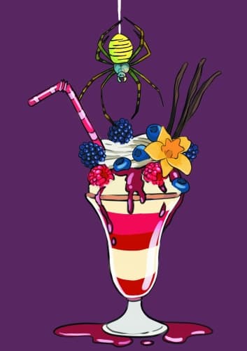 Milkshake Gose Fruits Rouges