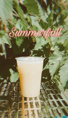 Summerfall