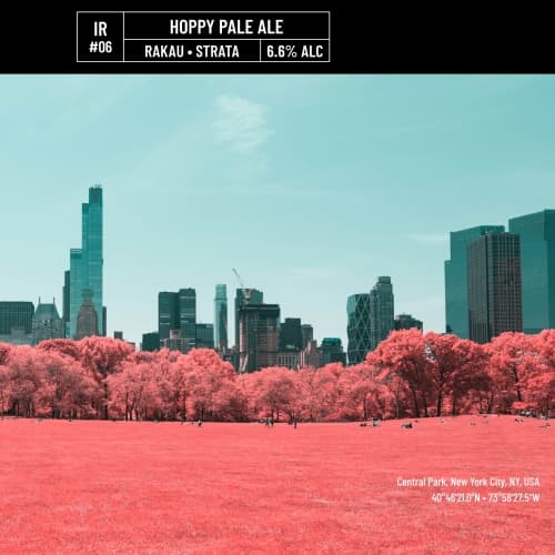 IR#06 - Hoppy Pale Ale