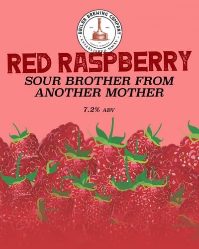 Red Raspberry Sour Brother From Another Mother
