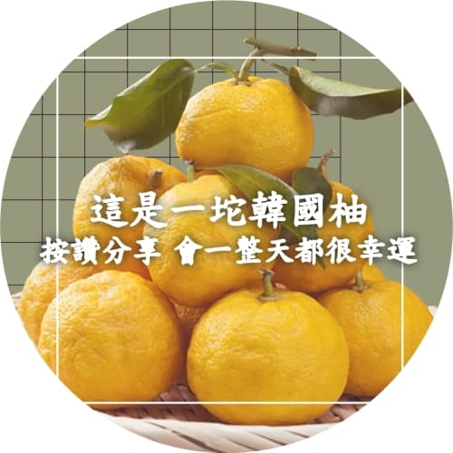 R&D92 啊你哈誰柚 / Yuzu Sour