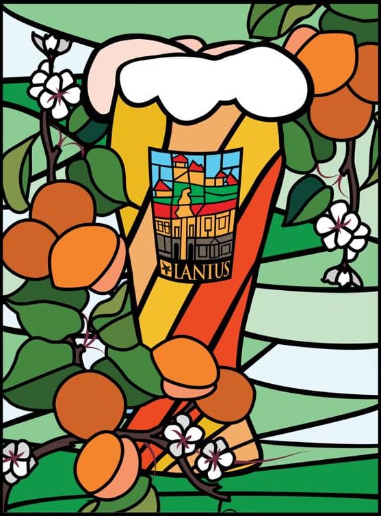 Apricot Saison