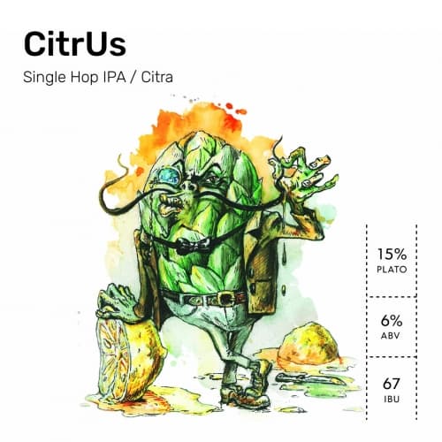 Citrus Single Hop IPA