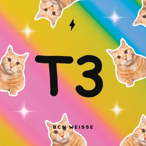 T3