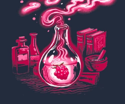 Love Potion (4%) - Pastry Gose Framboise Vanille