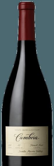 Pinot Noir Clone 23