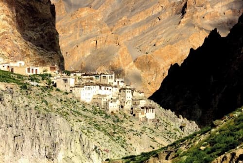 IPA - Mosaic / Centennial