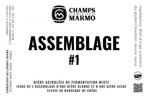 Assemblage #1