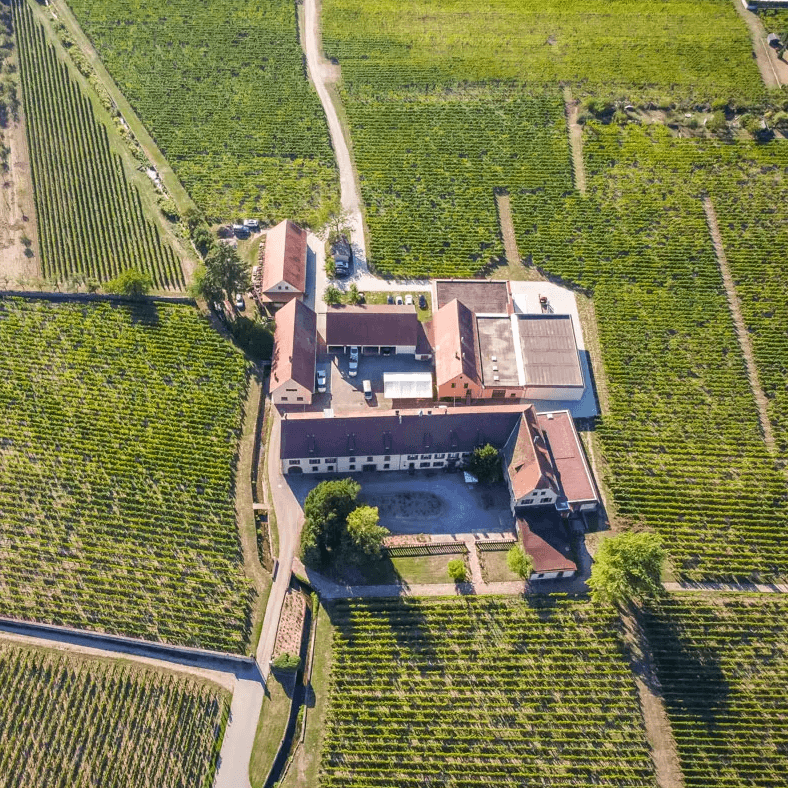 Domaine Weinbach