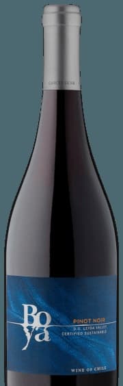 Pinot Noir