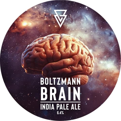 Boltzmann Brain