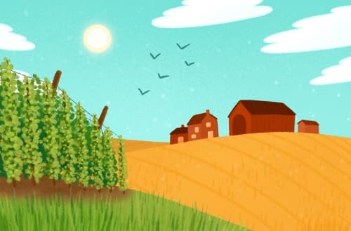 Harvest Moon : French Hop