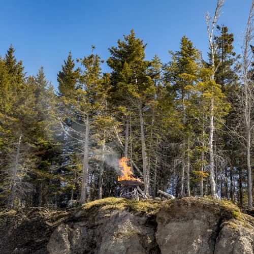 Rêve De Feu Hopfenstark