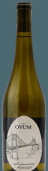 Suspension Muscat
