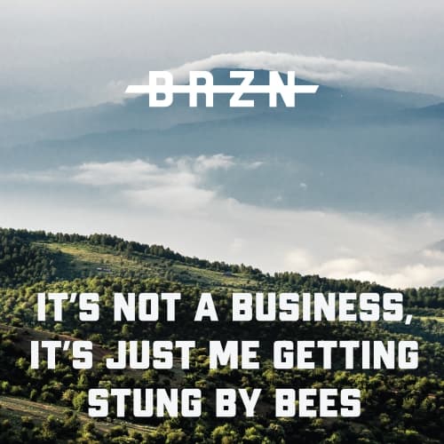 It's Not A Business, It's Just Me Getting Stung By Bees