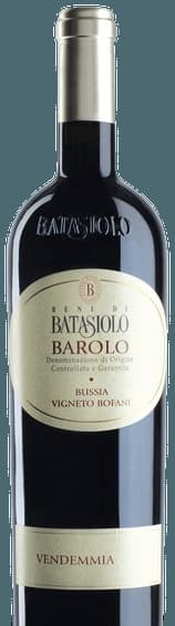 Barolo Bussia Vigneto Bofani
