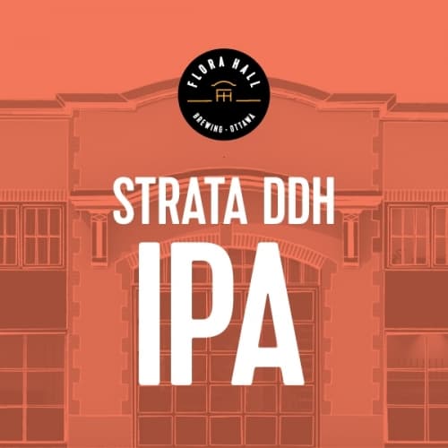Strata DDH IPA