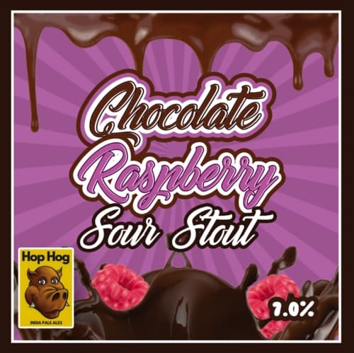 Chocolate Raspberry Sour Stout